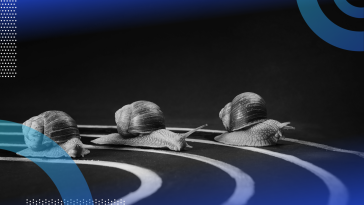 Latency image of three snails in a race