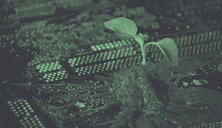 A green-toned image of a sprout growing out of a circuit board. /greentech/startups-leading-sustainability