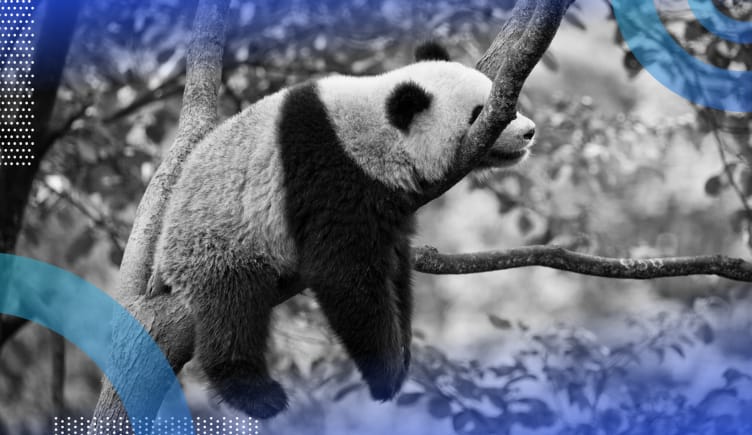 how to speed up pandas panda in a tree