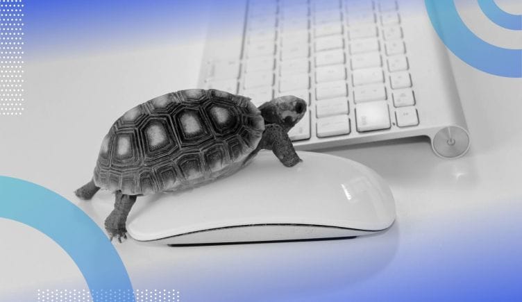 A turtle clicks a mouse next to a keyboard