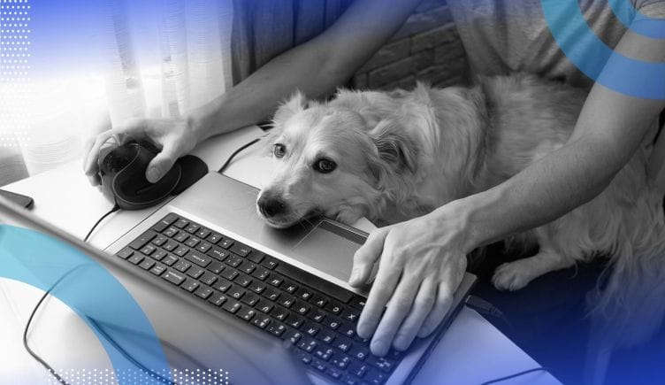 A person sits at a laptop with a mouse while a dog tries to interrupt