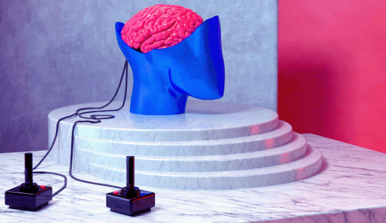 An exposed plastic brain being controlled by two neuromarketing controllers.