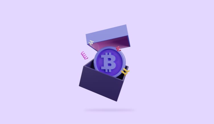 wallet with cryptocurrency in it