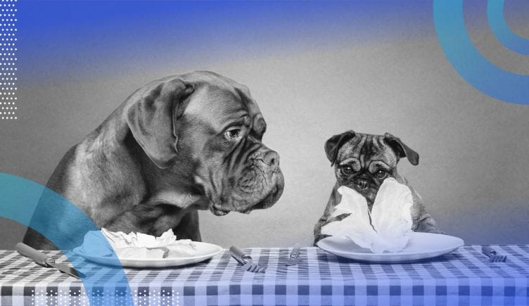 A big dog examines a smaller dog's lunch.