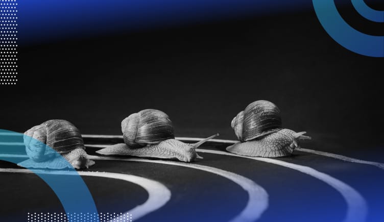 Latency image of three snails in a race