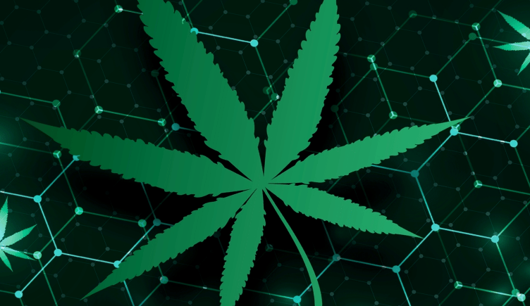 A digital tech cannabis leaf.