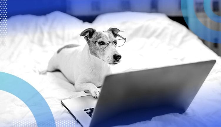 A bespectacled dog at a computer. CEOs should post more frequently to gain greater traction on social media.