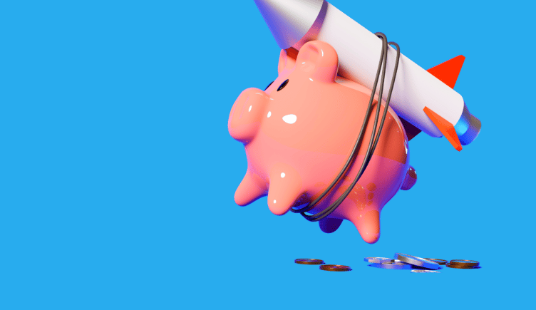 Rocket Pig Illustration