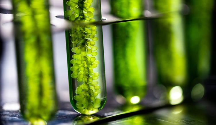 algae farm hypergiant austin tech ai