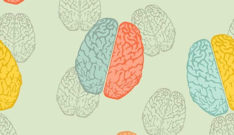 digital art of scattered brains with the halves in two different colors