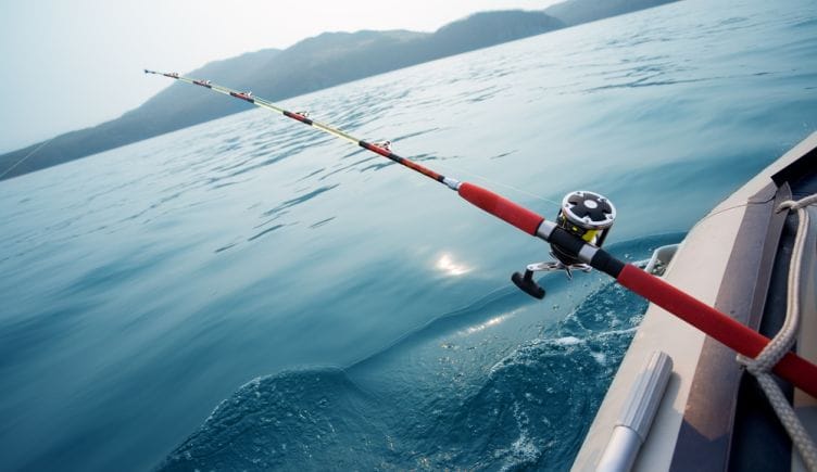 IoT-sustainable-fishing-Japan