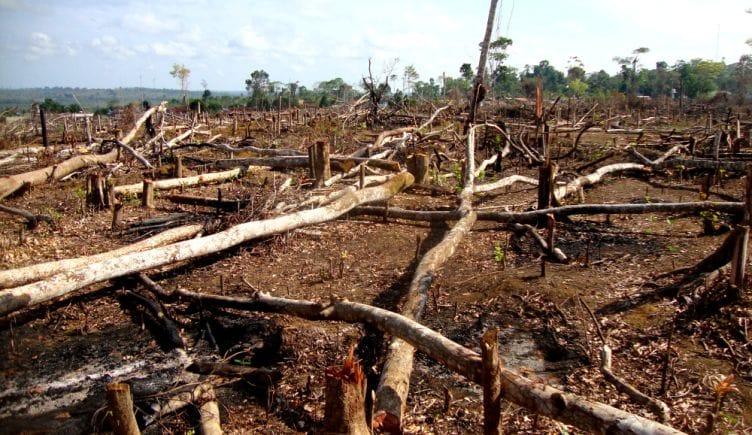deforestation-blockchain