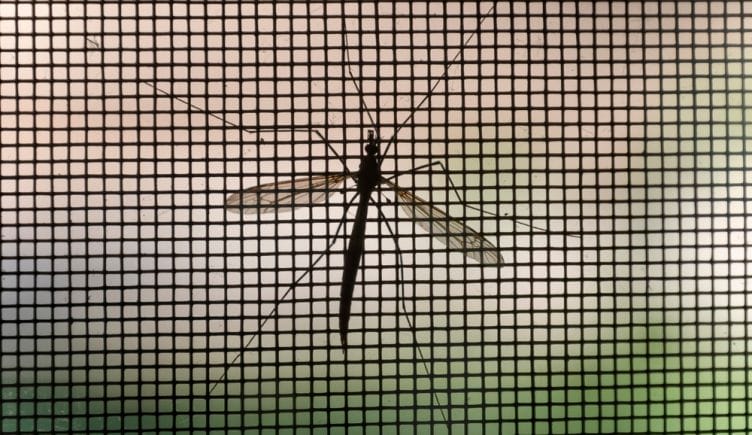 big-data-malaria
