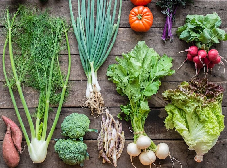 From crickets to culinary incubators: 6 Austin food tech startups you should know