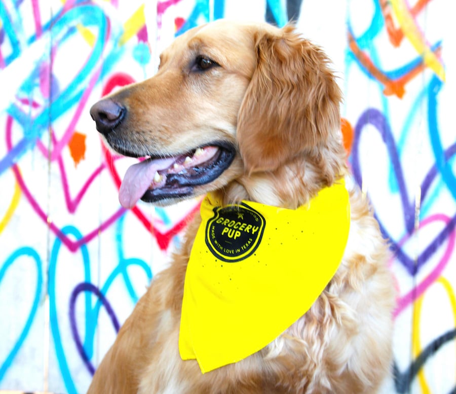 How this Austin startup is delivering taste transparency to your dog's dish
