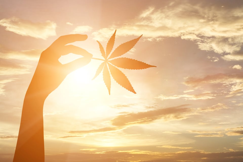 ​  Photo Via Shutterstock  ​