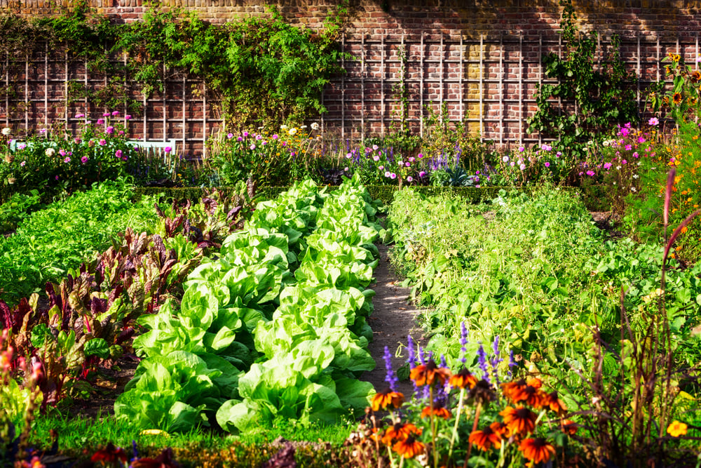 These 5 new Austin startups are changing food, real estate and the legal industry