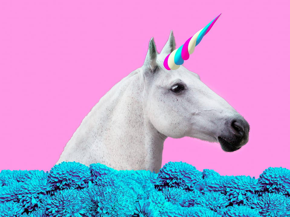For women-founded unicorns, 2019 is shaping up to be the best year ever