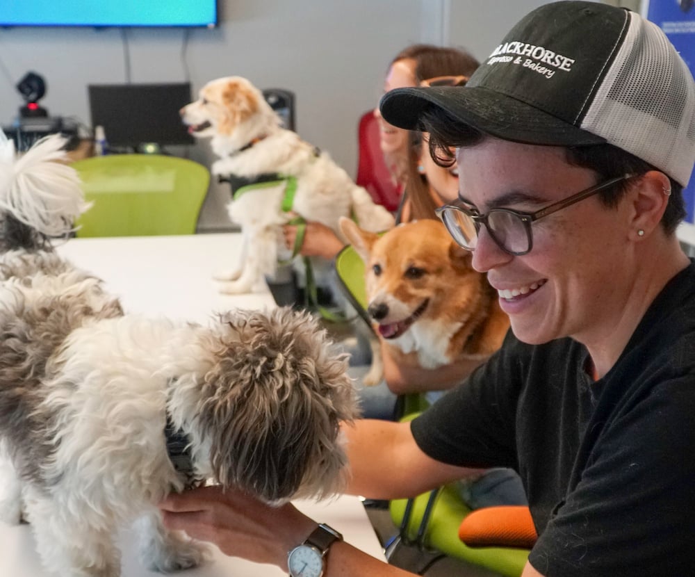 Don't Settle. Find a Career You Love at These Austin Tech Companies.