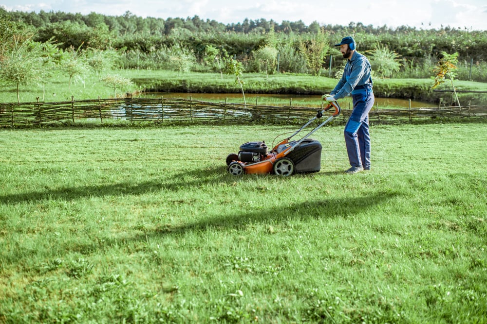 LawnStarter Raises $10.5M to Become the TaskRabbit of Lawn Care