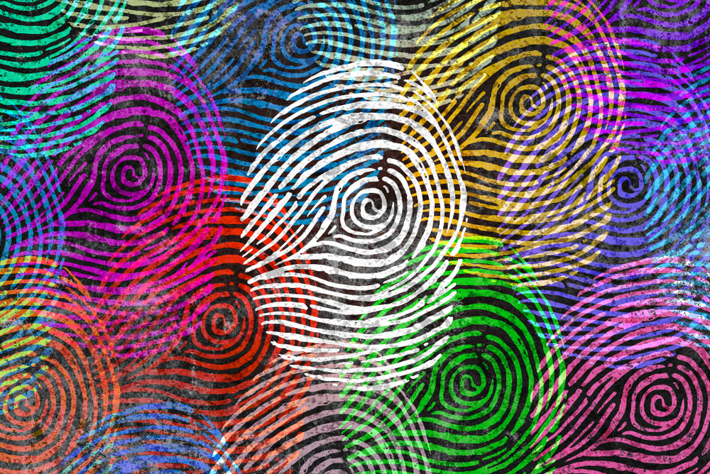 Essentials of Building an Identity Management System