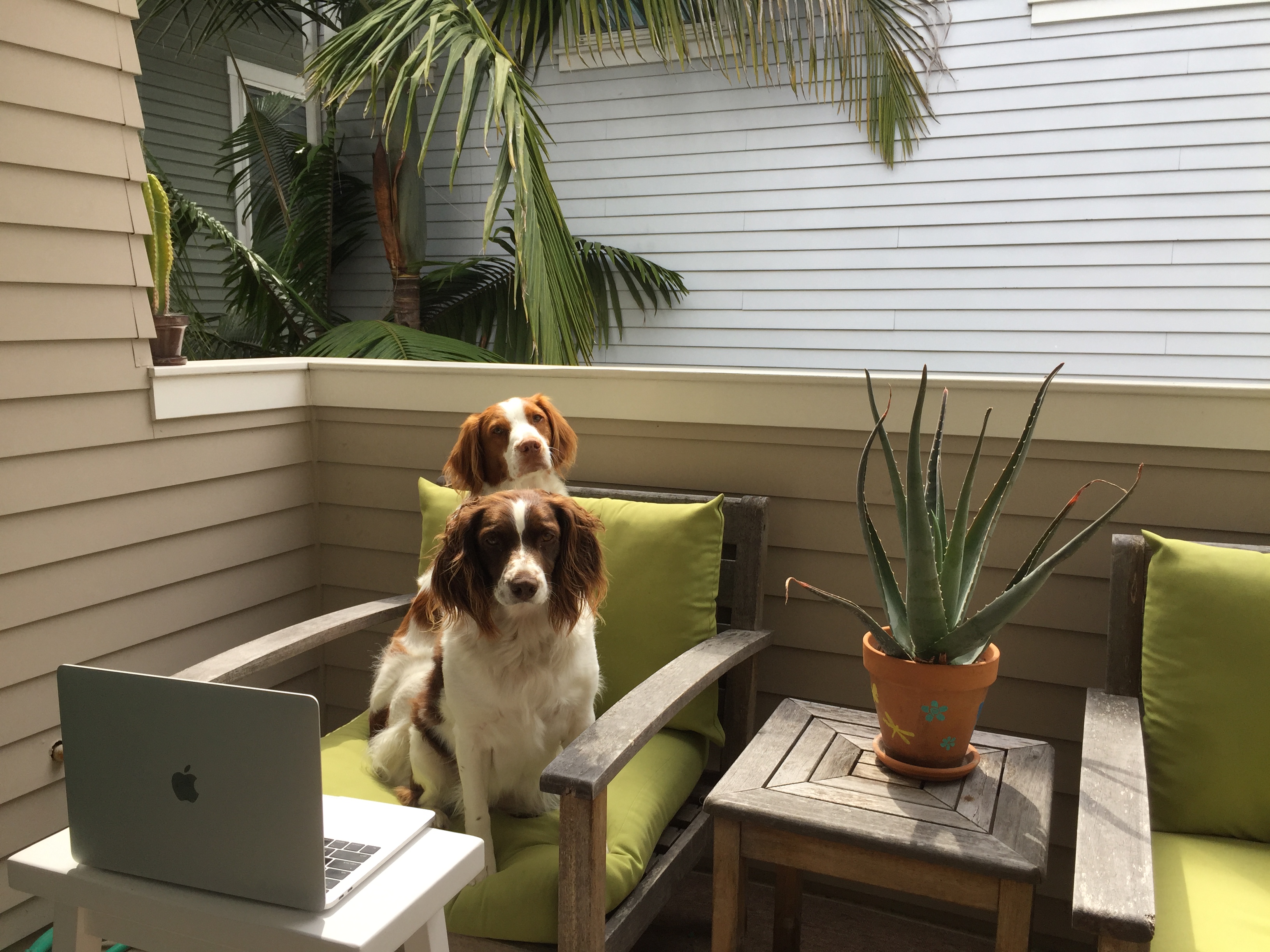 How to Make the Most of Remote Work