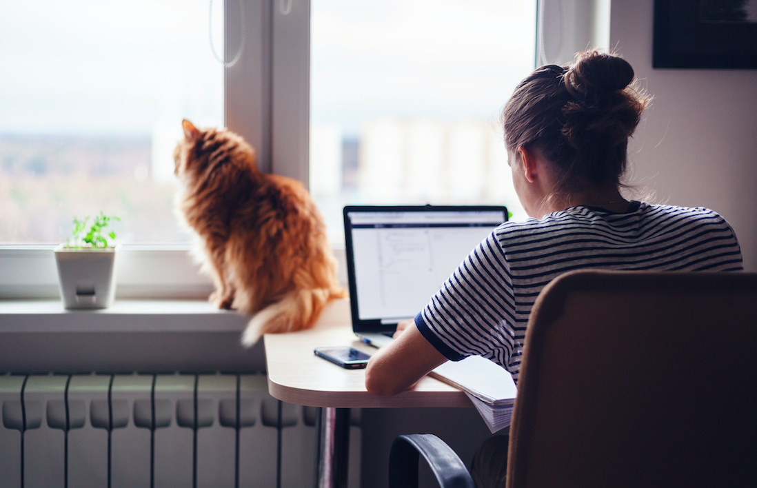 Newly Remote? This Tech Leader Has 7 Tips to Support a Productive Team.
