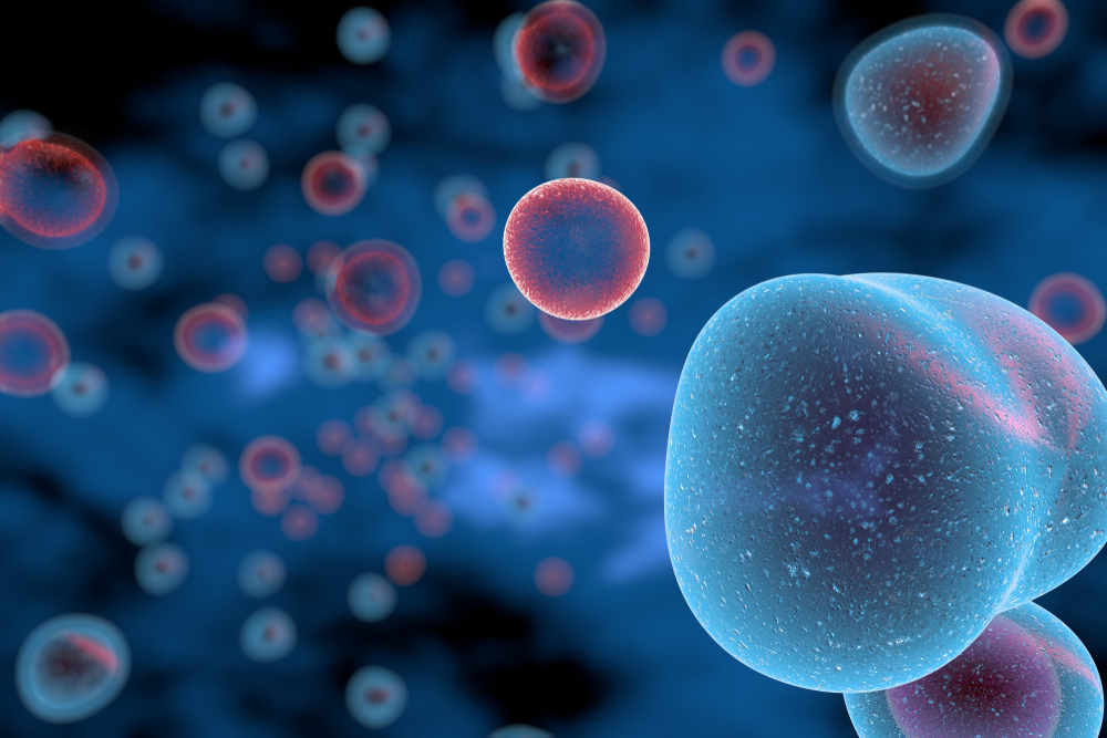 Boston Biotech Startup Raises $20M in Funding, Licenses T Cell Technology From Seattle