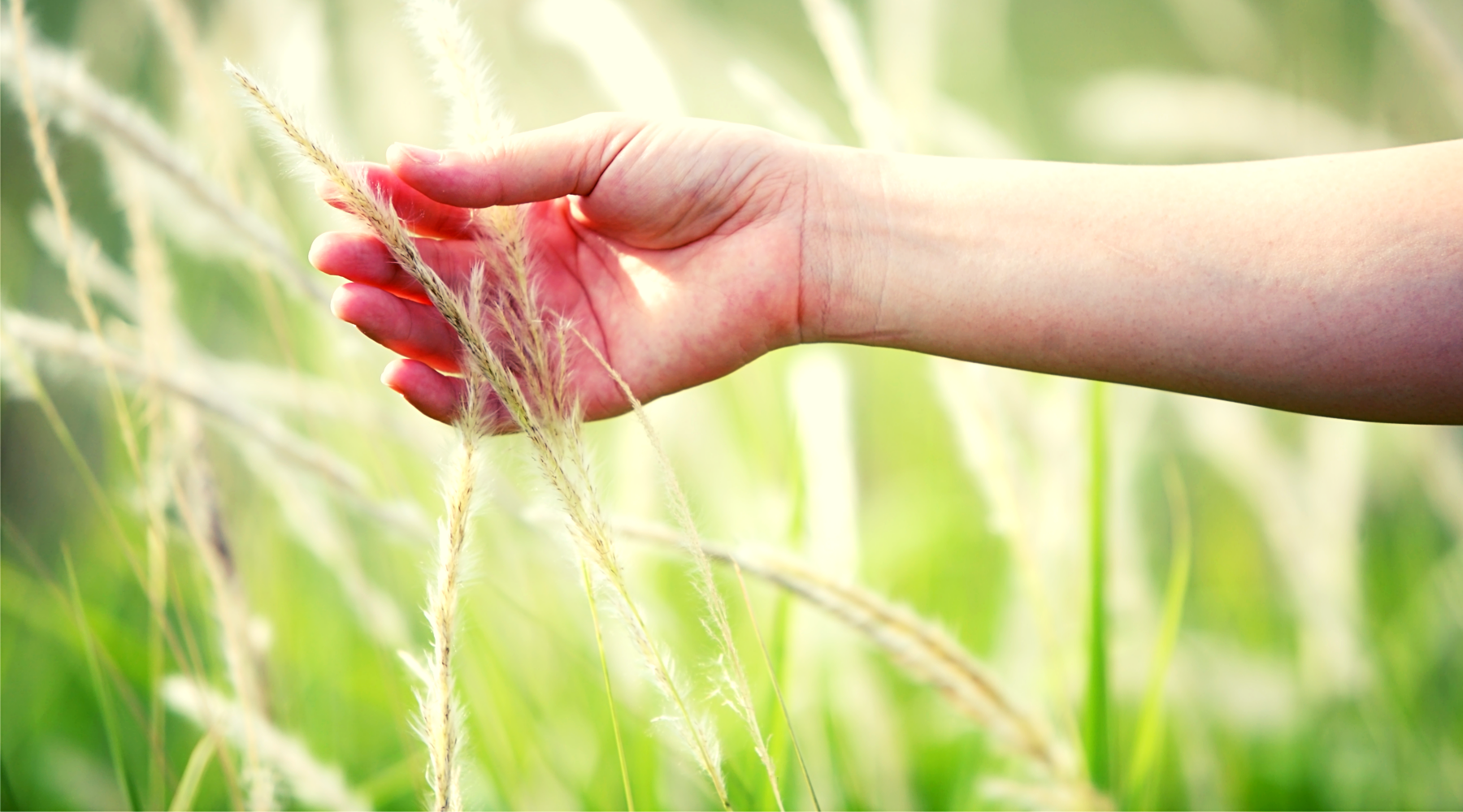 Haptic Technology Has More Applications Than You Think