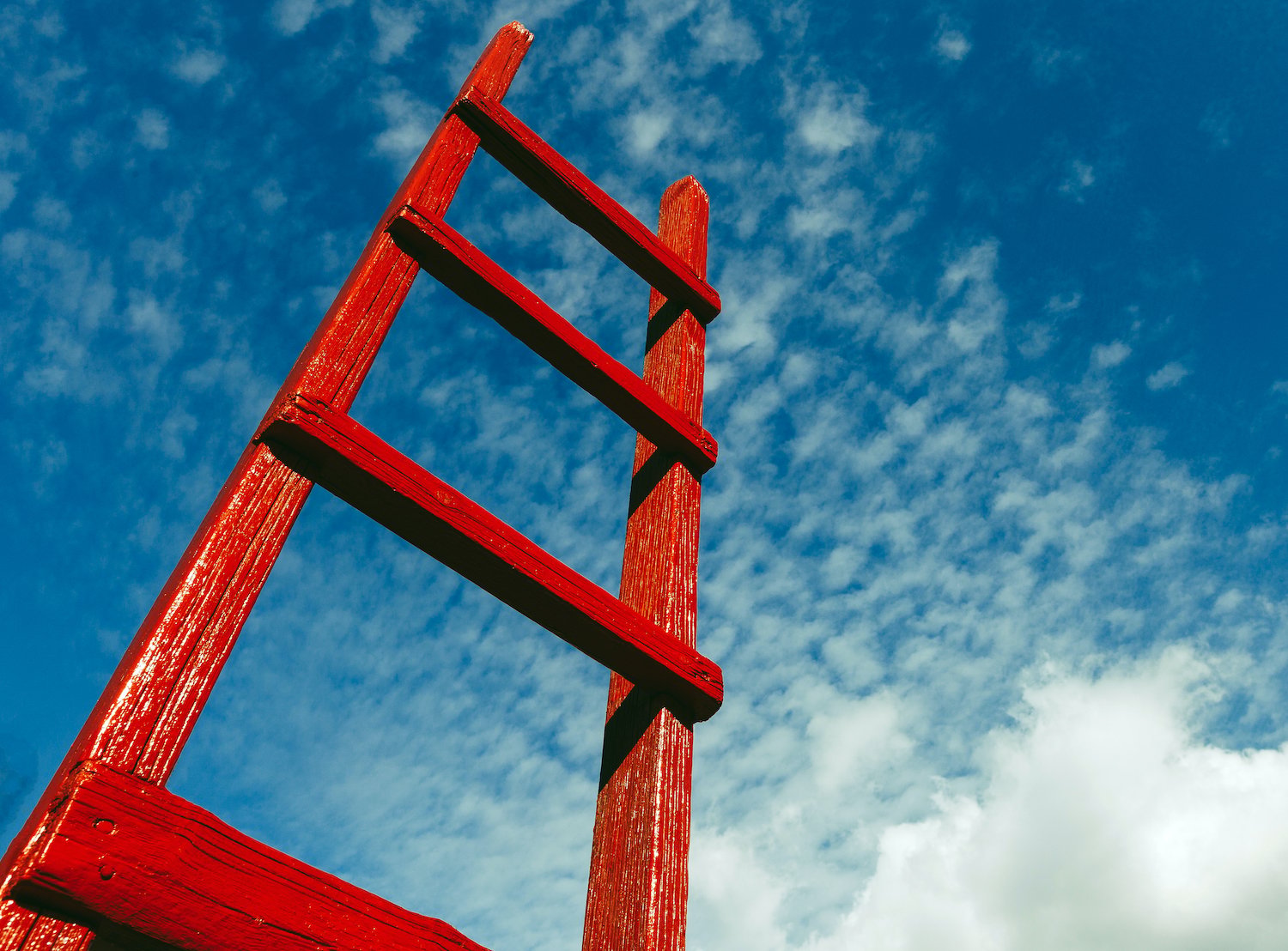 7 Steps to Build a Career Ladder That Works