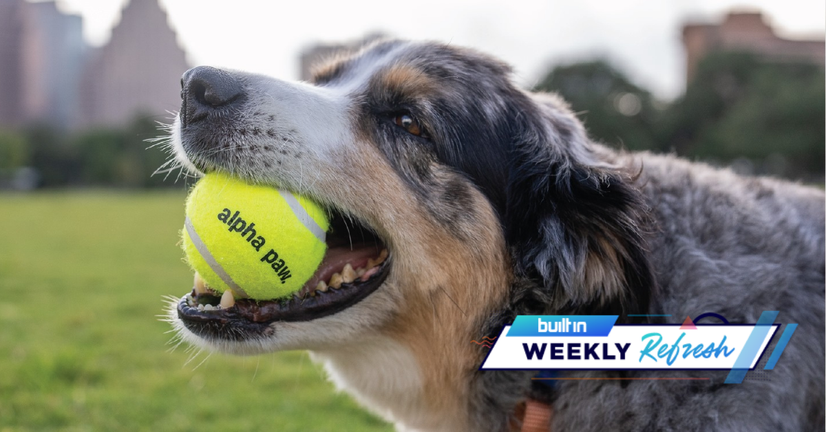 Alpha Paw Raised $8M, Lendflow Got $10.8M, and Other Austin Tech News