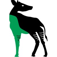 Okapi