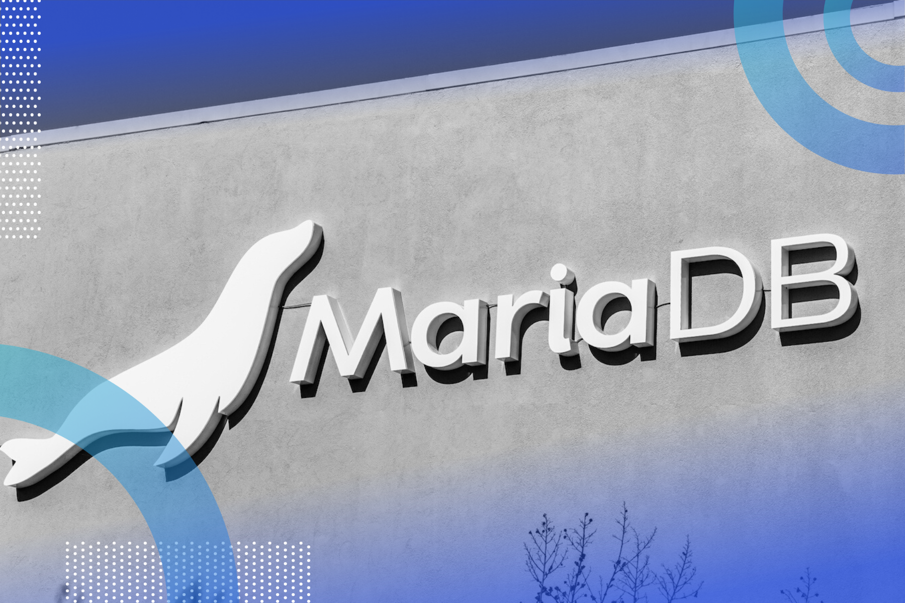 La complicata situazione di MariaDB, tra azienda in crisi, la fondazione sponsorizzata da AWS ed il ritiro da Azure cloud