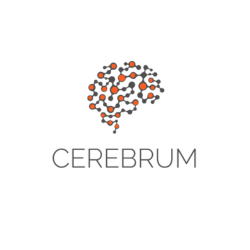 Cerebrum