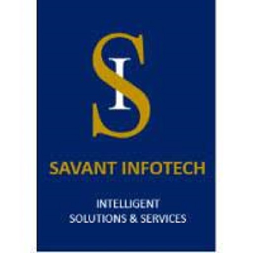 Savant Solutions & Services LLC
