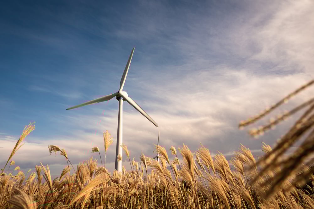 ​ Image: Shutterstock ​