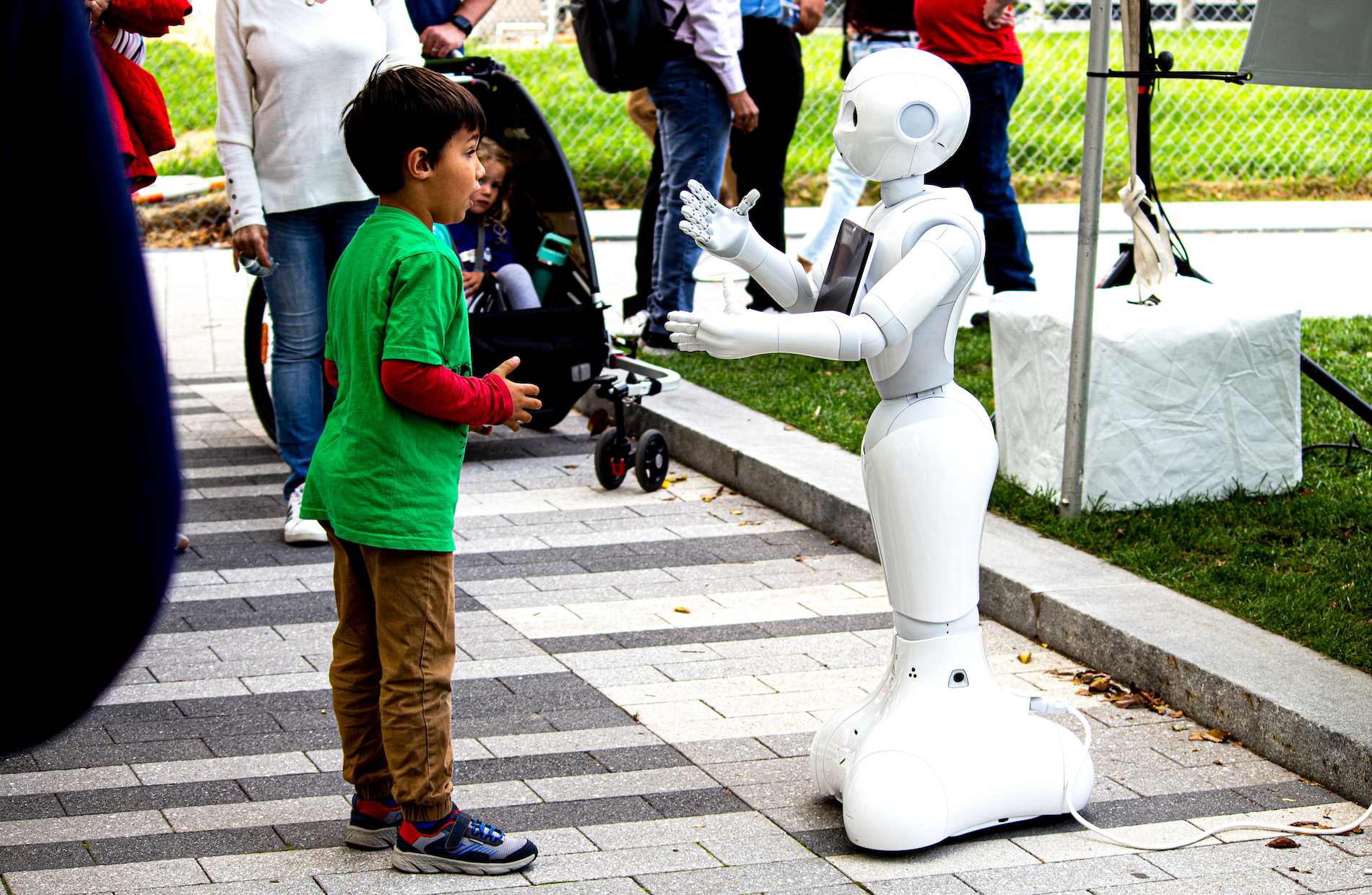 ​ Image: Shutterstock ​