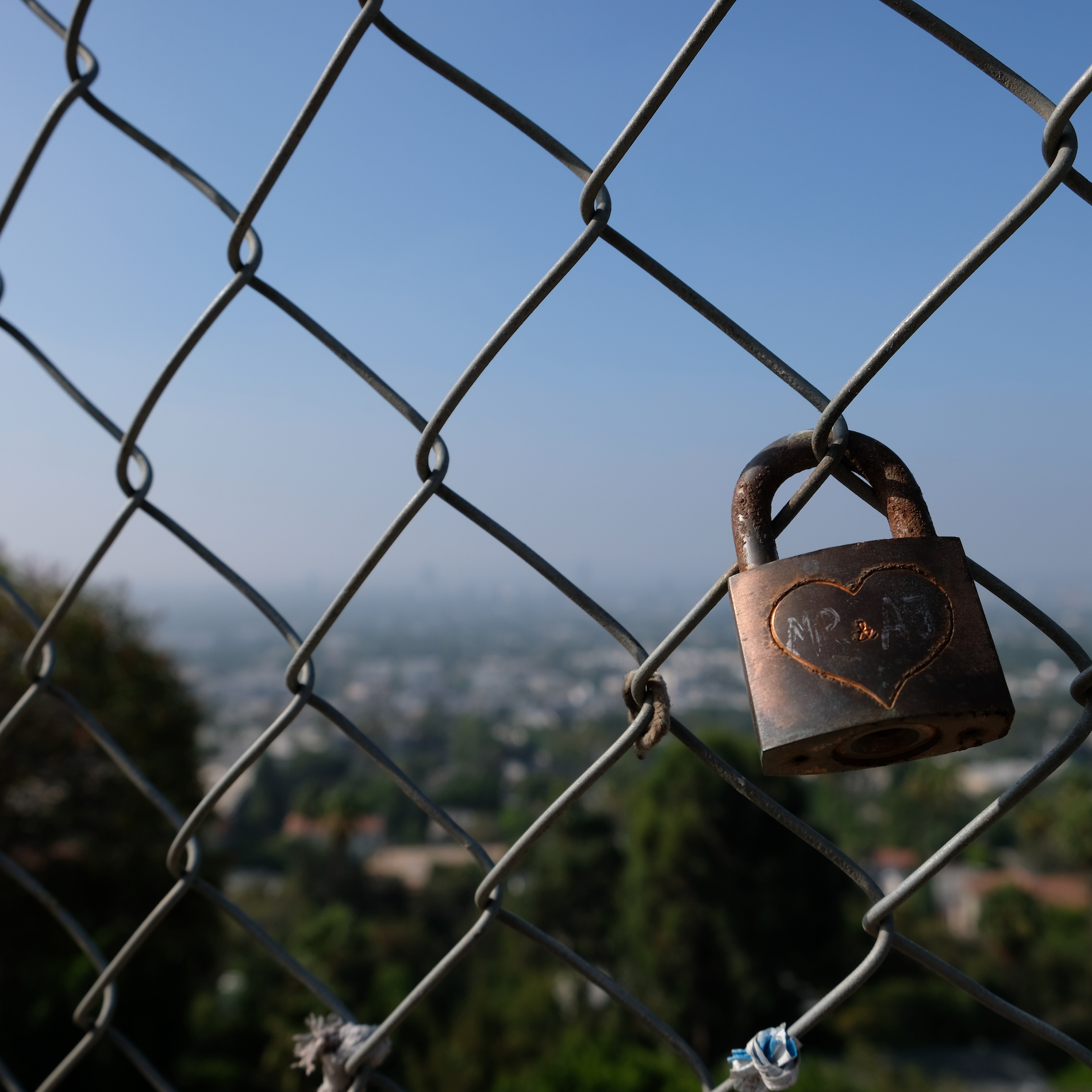 ​  Photo: Shutterstock  ​