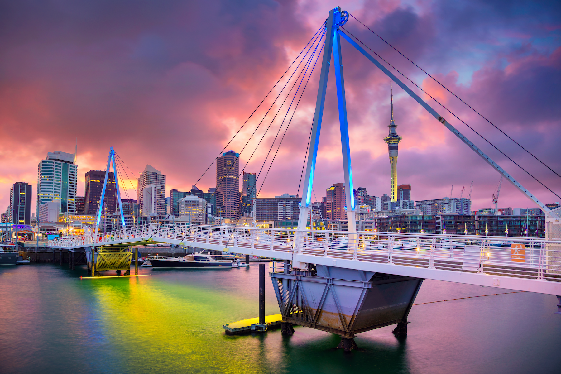 Photo: Shutterstock