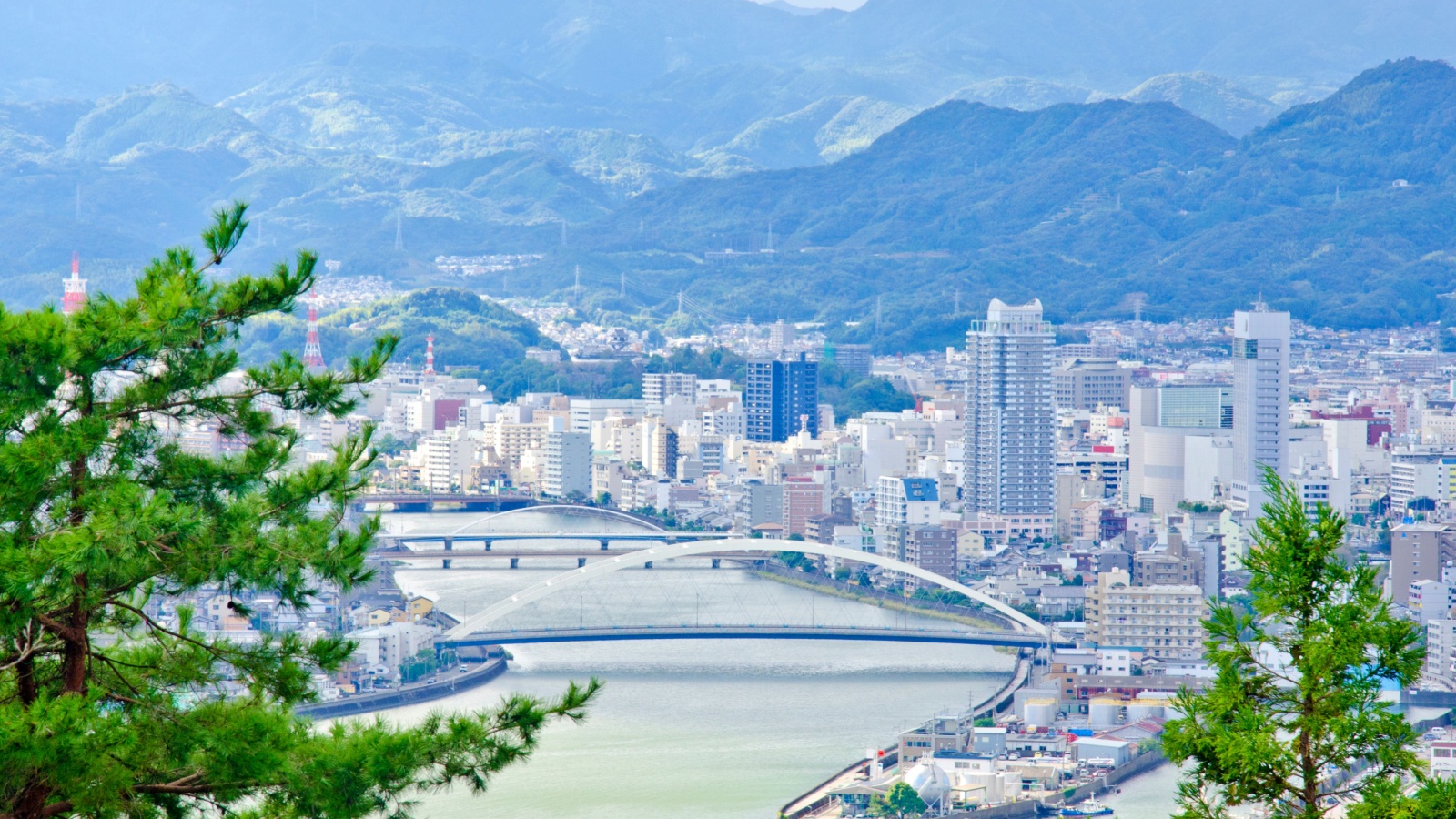 Photo: Shutterstock