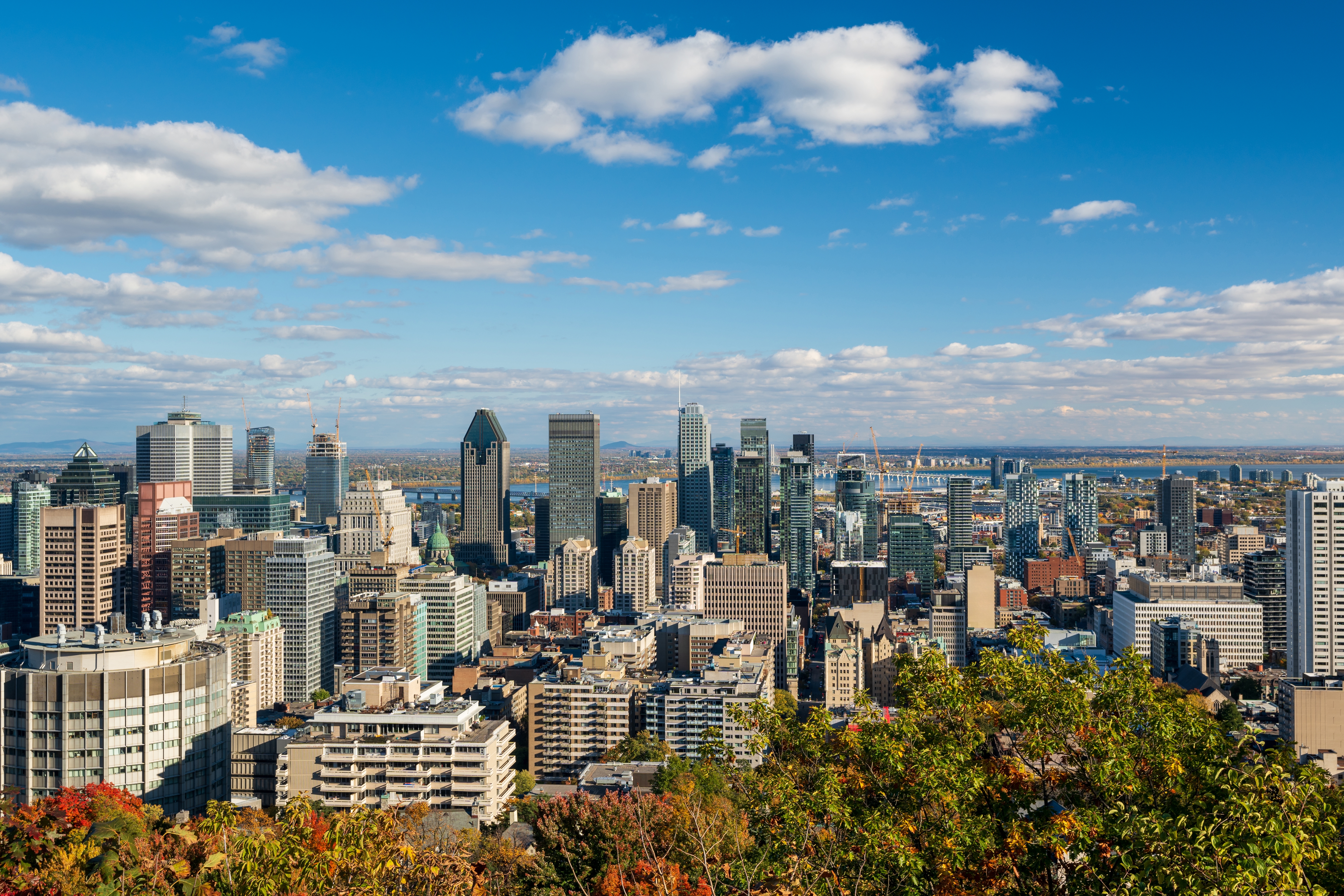Photo: Shutterstock