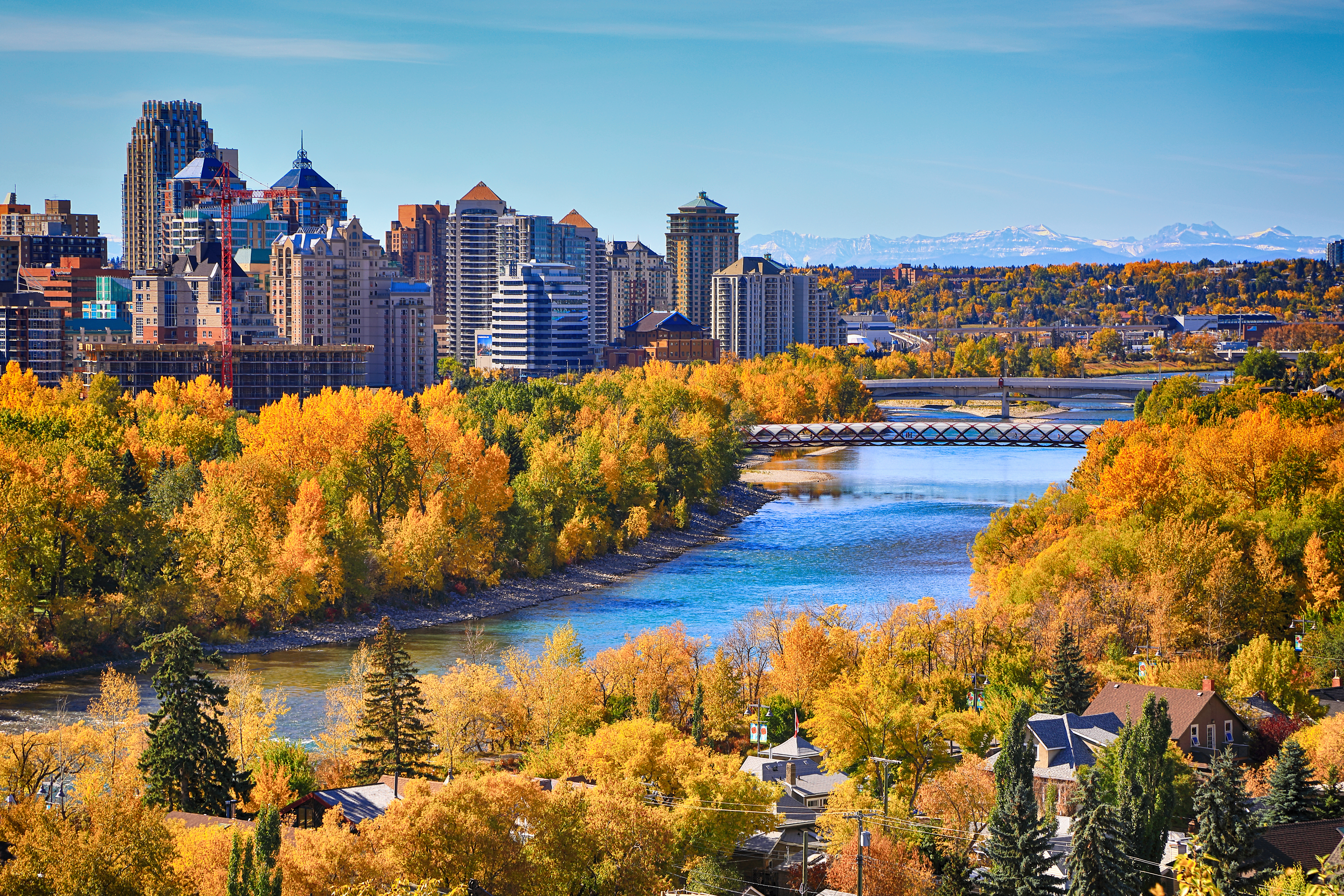 Photo: Shutterstock