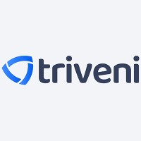 Triveni Global Software Services