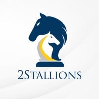 2Stallions Digital Marketing Agency