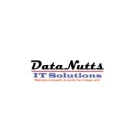 DataNutts IT Solutions