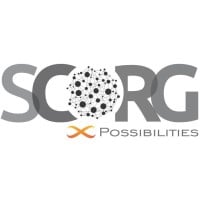 SCORG International Consulting