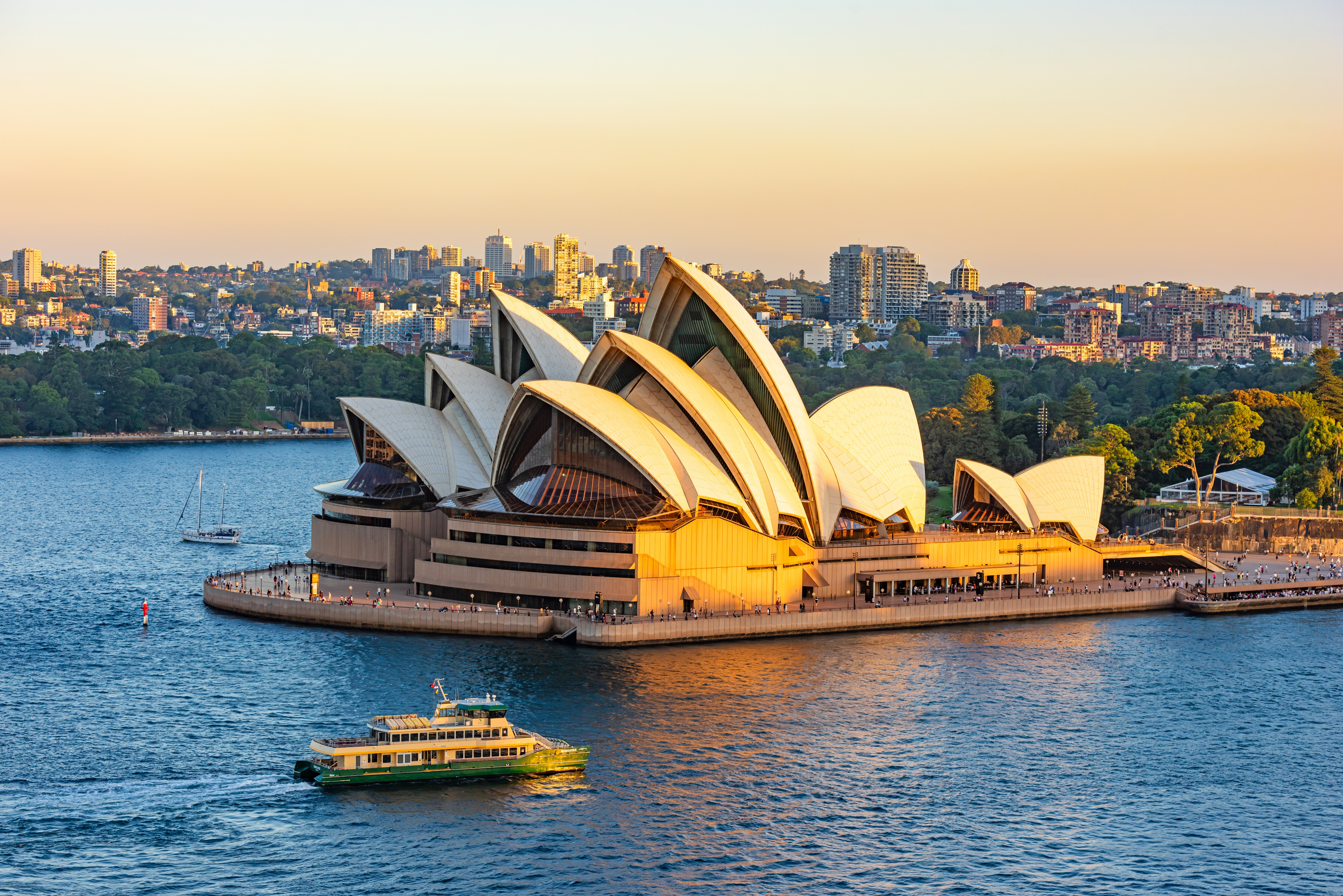 Photo: Shutterstock
