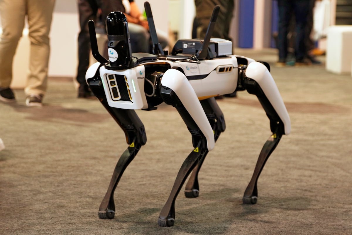 Pictures of robot dogs on sale