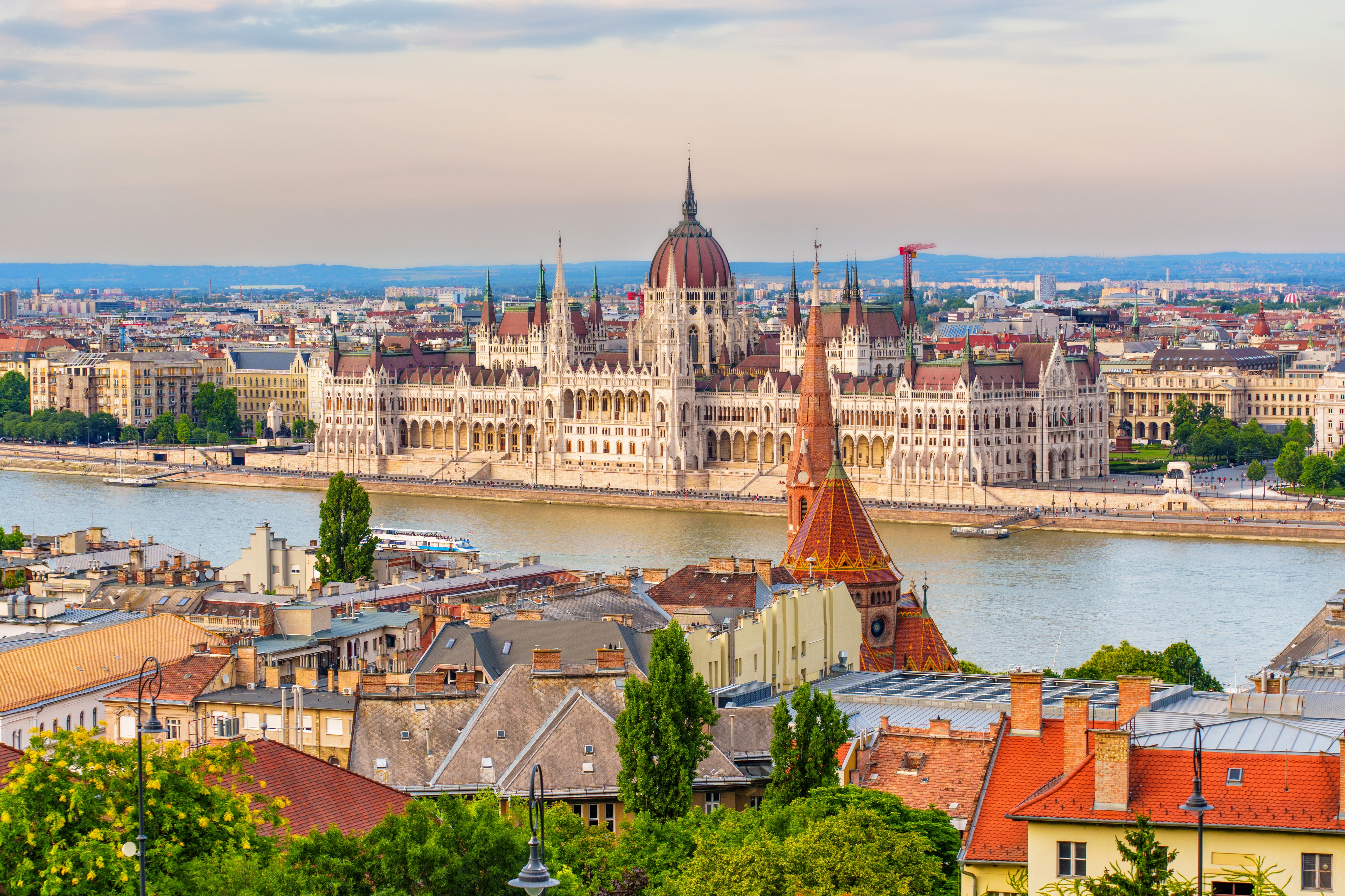 Photo: Shutterstock