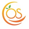 OrangeSkill Technologies